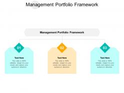 Management portfolio framework ppt powerpoint infographic template slide cpb