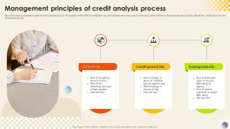Management Principles Of Credit Analysis Process