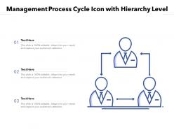 Management process cycle icon with hierarchy level