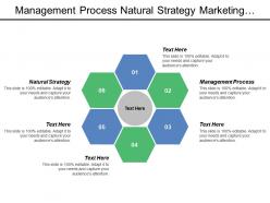 Management process natural strategy marketing strategy interface marketing auditing