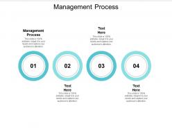 Management process ppt powerpoint presentation file images cpb