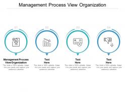 Management process view organization ppt powerpoint presentation slides gallery cpb
