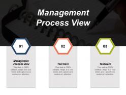 Management process view ppt powerpoint presentation gallery graphics pictures cpb
