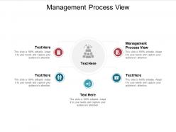Management process view ppt powerpoint presentation show inspiration cpb