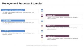 Management Processes Examples In Powerpoint And Google Slides Cpb