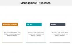 Management processes ppt powerpoint presentation infographic template graphics cpb