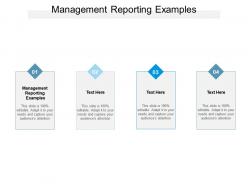 Management reporting examples ppt powerpoint presentation professional formats cpb
