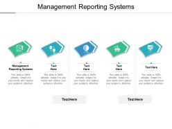 Management reporting systems ppt powerpoint presentation summary samples cpb