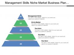 Management skills niche market business plan analysis marketing mix models
