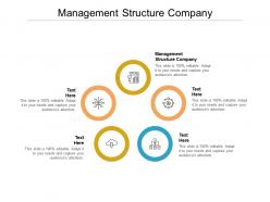 Management structure company ppt powerpoint presentation infographics show cpb