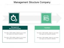 Management structure company ppt powerpoint presentation styles gallery cpb