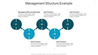Management Structure Example In Powerpoint And Google Slides Cpb