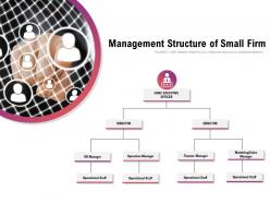 Management Structure Of Small Firm