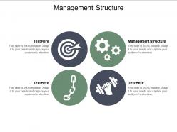 Management structure ppt powerpoint presentation gallery design ideas cpb