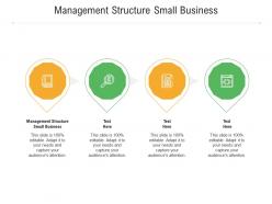 Management structure small business ppt powerpoint presentation infographics example cpb