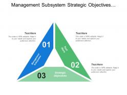 Management Subsystem Strategic Objectives Demand Forecasts Company Policies
