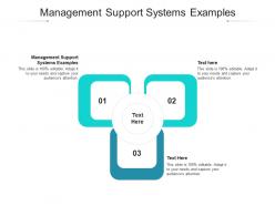 Management support systems examples ppt powerpoint presentation layouts ideas cpb