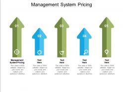 Management system pricing ppt powerpoint presentation pictures template cpb
