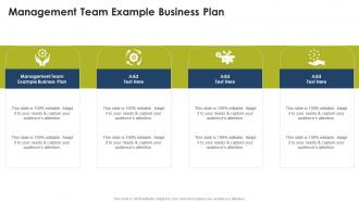 Management Team Example Business Plan In Powerpoint And Google Slides Cpb