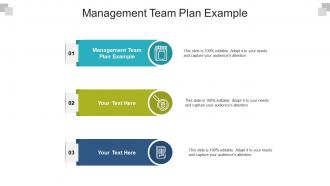 Management team plan example ppt powerpoint presentation inspiration topics cpb
