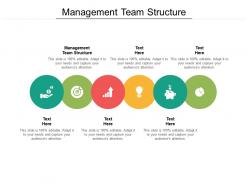 Management team structure ppt powerpoint presentation file rules cpb