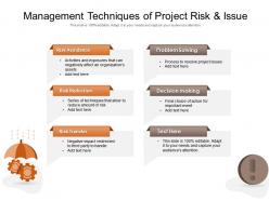 Management Techniques Of Project Risk And Issue