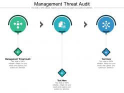 Management threat audit ppt powerpoint presentation portfolio model cpb