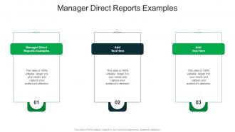 Manager Direct Reports Examples In Powerpoint And Google Slides Cpb