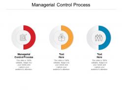 Managerial control process ppt powerpoint presentation slides template cpb