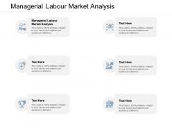 Managerial labour market analysis ppt powerpoint presentation ideas graphics download cpb