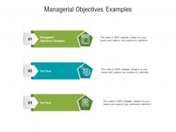 Managerial objectives examples ppt powerpoint presentation outline inspiration cpb