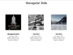 Managerial skills ppt powerpoint presentation gallery layouts cpb