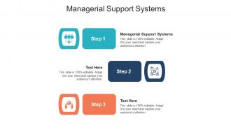 Managerial support systems ppt powerpoint presentation inspiration designs download cpb