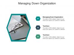 Managing down organization ppt powerpoint presentation model designs download cpb