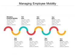 Managing employee mobility ppt powerpoint presentation summary outfit cpb