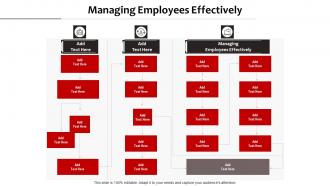 Managing Employees Effectively Ppt PowerPoint Presentation Ideas Templates Cpb