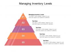 Managing inventory levels ppt powerpoint presentation file template cpb