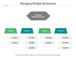Managing multiple businesses ppt powerpoint presentation show graphics example cpb