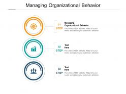 Managing organizational behavior ppt powerpoint presentation file aids cpb