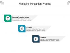 Managing perception process ppt powerpoint presentation gallery smartart cpb