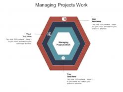 Managing projects work ppt powerpoint presentation model objects cpb