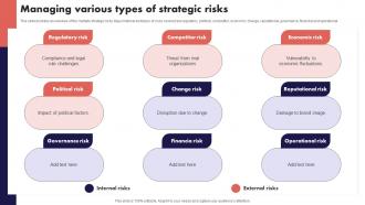 Managing Various Types Of Strategic Risks Risk Management And Mitigation