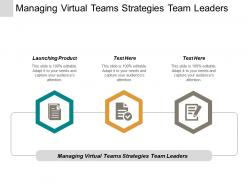 Managing virtual teams strategies team leaders launching product cpb