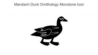Mandarin Duck Ornithology Monotone Icon In Powerpoint Pptx Png And Editable Eps Format
