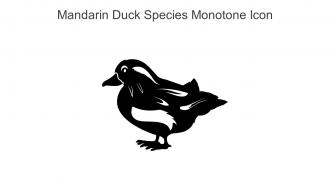 Mandarin Duck Species Monotone Icon In Powerpoint Pptx Png And Editable Eps Format