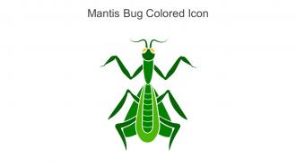 Mantis Bug Colored Icon In Powerpoint Pptx Png And Editable Eps Format