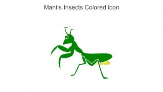 Mantis Insects Colored Icon In Powerpoint Pptx Png And Editable Eps Format