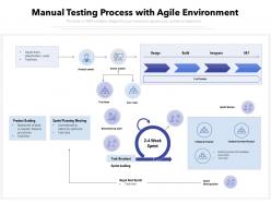 Manual testing process with agile environment