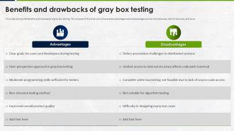 Manual Testing Strategies For Quality Control Benefits And Drawbacks Of Gray Box Testing