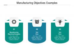 Manufacturing objectives examples ppt powerpoint presentation slides templates cpb